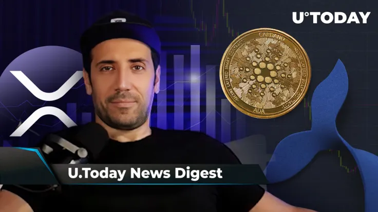 David Gokhshtein Calls XRP Chart 'Pretty Dope,' BabyDoge Hints at Major Listing, ADA Whales Rapidly Drop Their Holdings: Crypto News Digest by U.Today