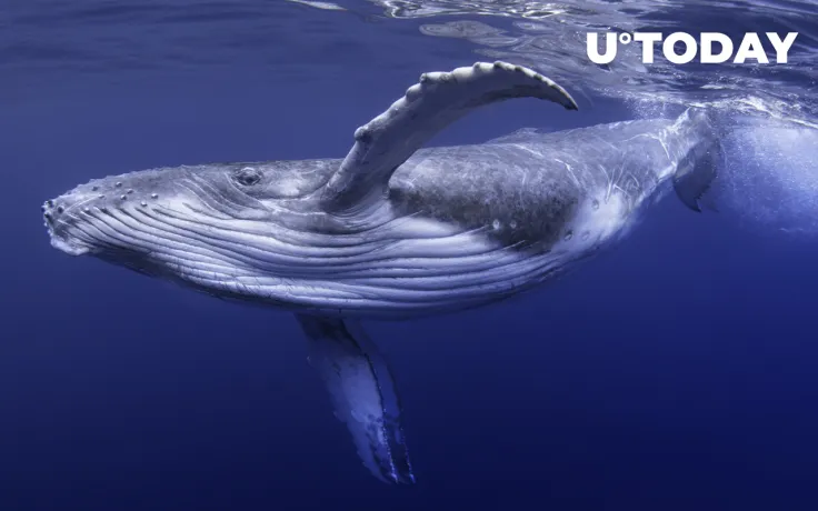 Satoshi-Era Bitcoin Mystery: Massive BTC Whale Address Activated