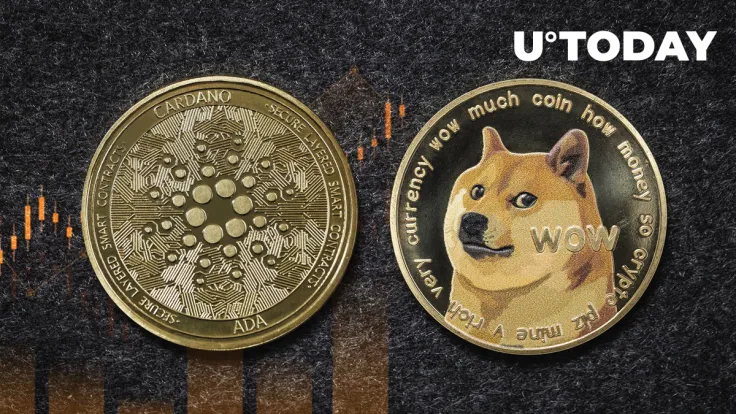 Cardano (ADA) Back Above Dogecoin (DOGE) as Meme Coin's Rally Stalls  