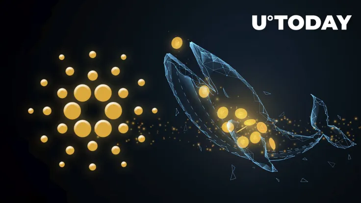 Cardano Whales Make Radical Move, Adding 150 Million ADA as Price Keeps Rising