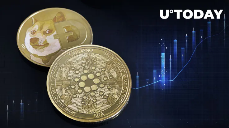 Dogecoin (DOGE), Cardano (ADA) Trading Volumes Soar, Here Are Potential Reasons 