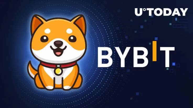 Baby Doge Coin (BabyDoge) Goes Live on Bybit Spot: Details