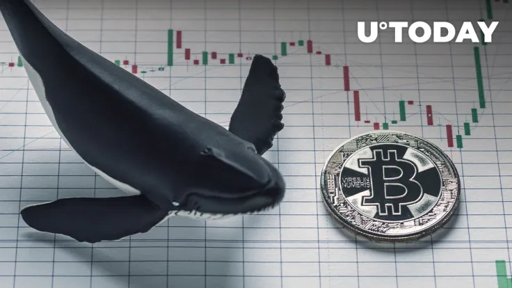 Half Billion USD in Bitcoin Moved By Anon Whale, Data Suggests Their Real Name