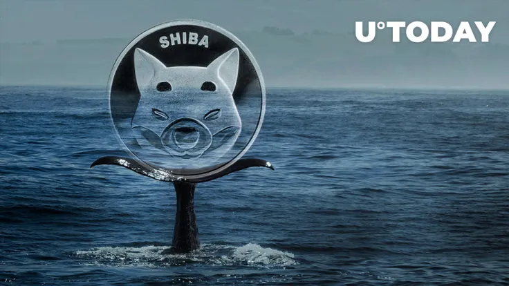 480 Billion SHIB Bought by Whale This Week After Grabbing Almost Trillion Shiba Inu in March