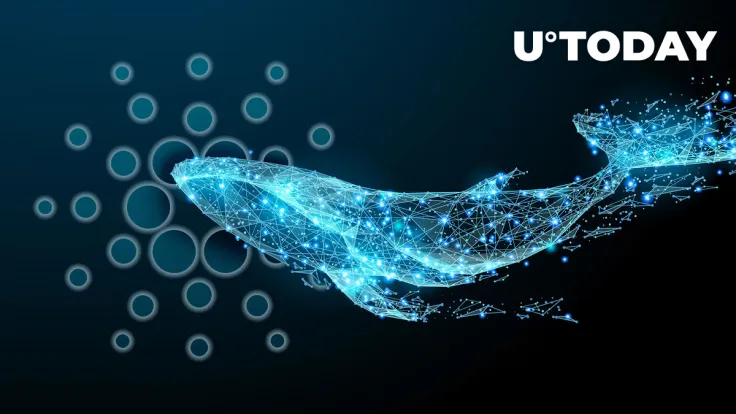 Cardano Whales Accumulate 560 Million ADA in Just Two Weeks: Details