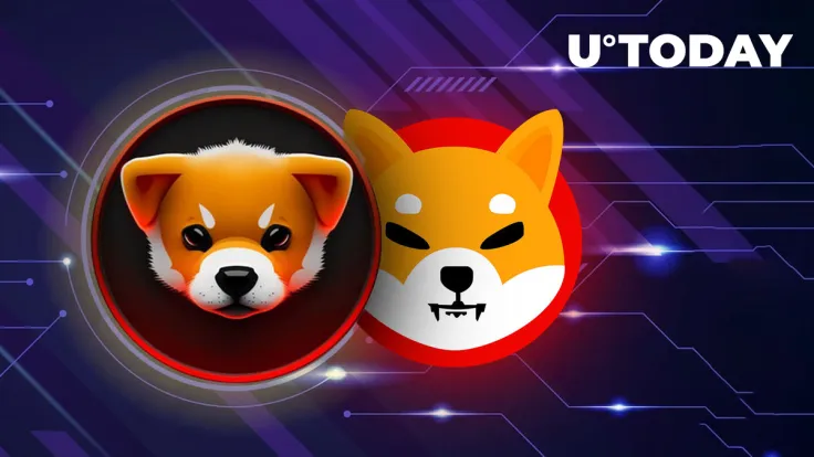 Shibarium's Puppynet Triggers Surge in Shiba Inu's BONE Large Transactions