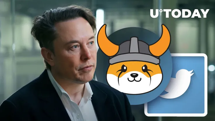Elon Musk Says 'Floki' Took Over Twitter, Guess What Happened With Floki Inu (FLOKI)