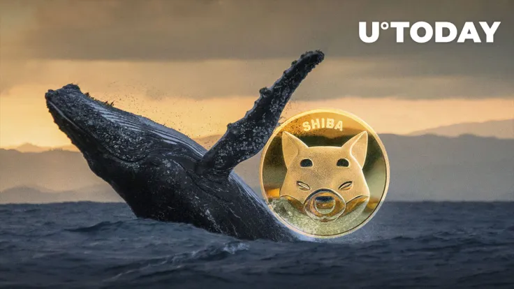 Tens of Billions of SHIB Grabbed by Whales as SHIB Rises in Past Hour