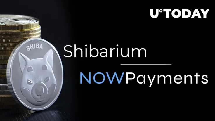 Shibarium and NOWPayments Join Forces: Shiba Inu (SHIB) Lead Approves