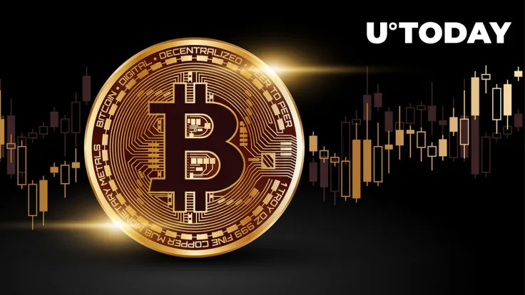 Bitcoin Network Shows High Potential for BTC Price Surge: Analyst