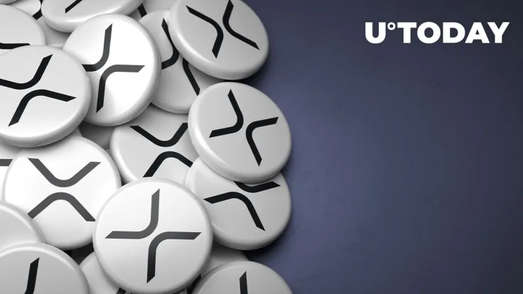 Here's Why XRP Might Send Top Cryptocurrencies to Valhalla, Explains Top Crypto Trader