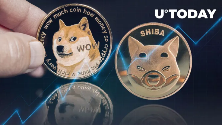 DOGE, SHIB Beat ADA, FLOKI In Terms of Social Sentiment Rise