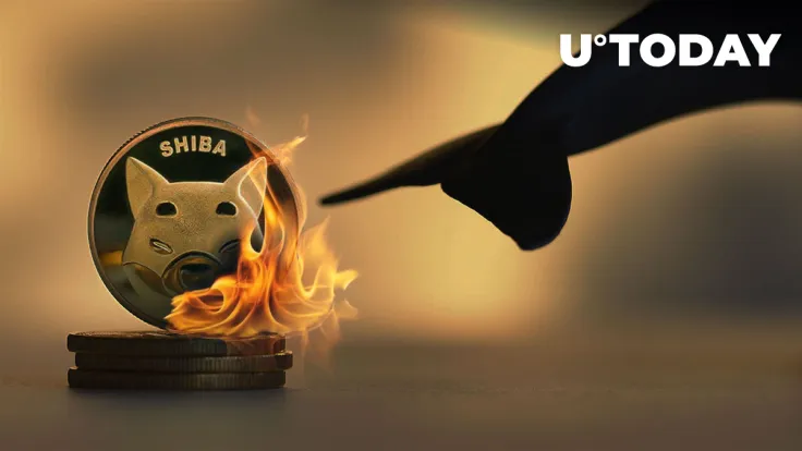 Whale Burns 1.4 Billion Shiba Inu at Once, 1.8 Billion SHIB 'Killed' in 7 Days