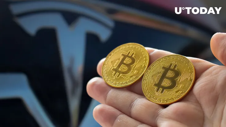 Tesla vs Bitcoin: Hedgeye CEO Highlights "Tight Race" as Both Crash Over 50%