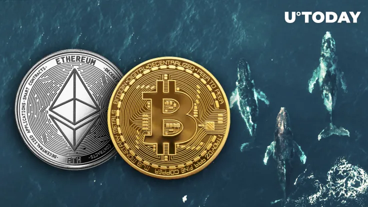 Three Whales Make Big Bets on ETH and BTC via DeFi Protocols