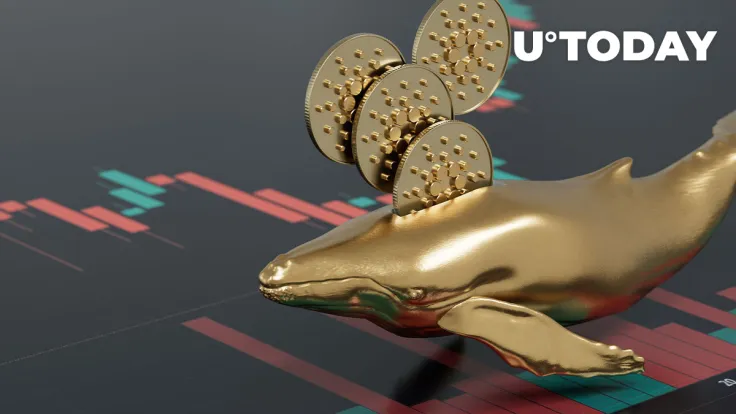 Cardano (ADA) Whales Now Control Only 8% of Coin's Supply