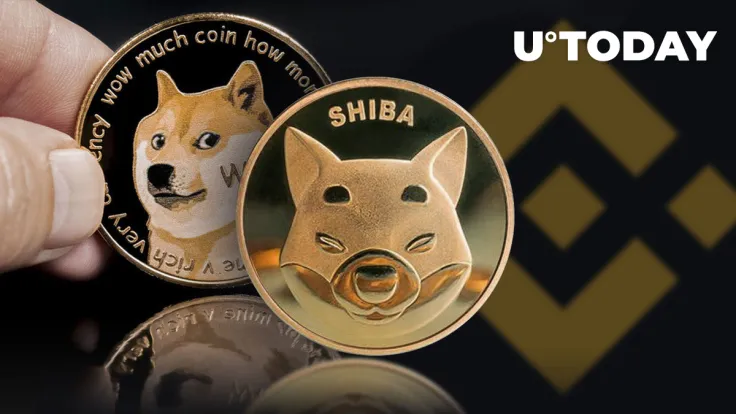 Binance Liquid Swap Adds SHIB/DOGE Liquid Pool and 6 More Assets