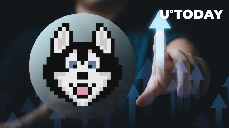 Cardano's HOSKY Meme Coin Skyrockets Amid Altcoin Turmoil