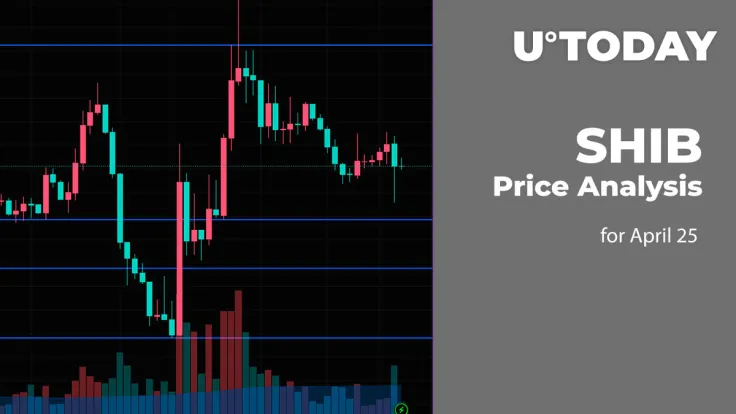 SHIB Price Analysis for April 25