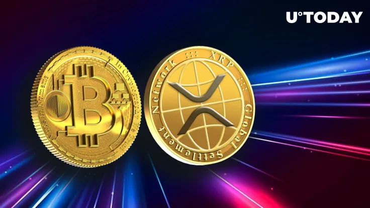 Bitcoin and XRP Are Centralized, Crypto Executive Says