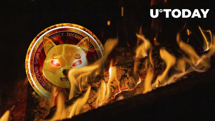 Shiba Inu (SHIB) Burn Rate Soars 2,000%, Here's What May Happen Next