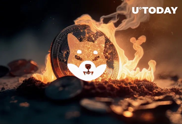 Shiba Inu's Kusama Picks Adoption Over Burns