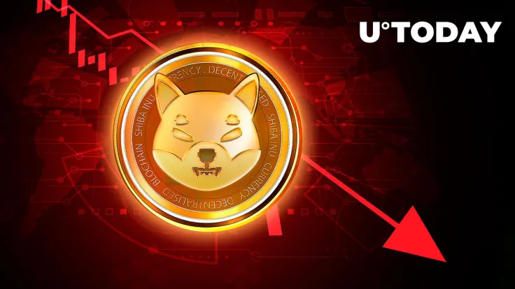 Shiba Inu (SHIB) Falls Unexpectedly, Here's What Happened