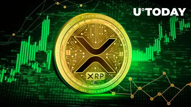 4.8 Billion XRP Marks Highest On-Chain Transaction Volume in Months