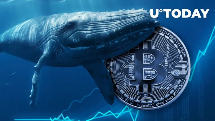 Top BTC Whales Set Three-Year Record: Details