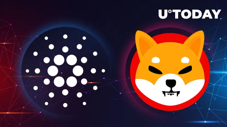 Don't Compare Cardano (ADA) to Shiba Inu (SHIB): Communities Clash