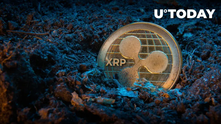 XRP Takes Breathtaking Twist: Millions Came, But This Week, It's Zero
