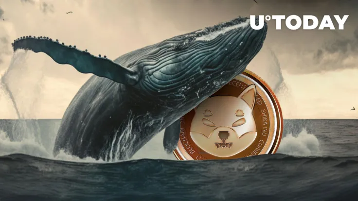 Shiba Inu (SHIB) Sees 2,180% Spike in Whale Transactions, What's Going On?