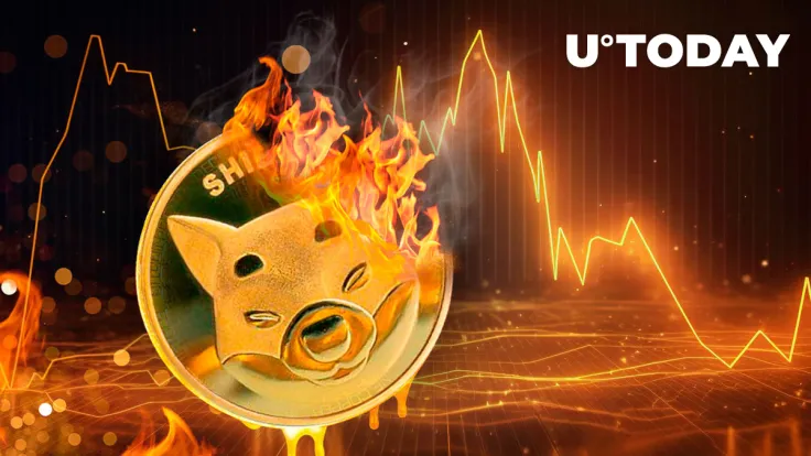 SHIB Burn Rate Shows Mysterious Plunge Despite Recent Statements From SHIB Team
