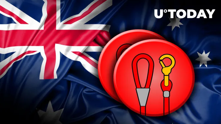 SHIB Token LEASH Price Rises as It Gets Added by Australia-Based Exchange