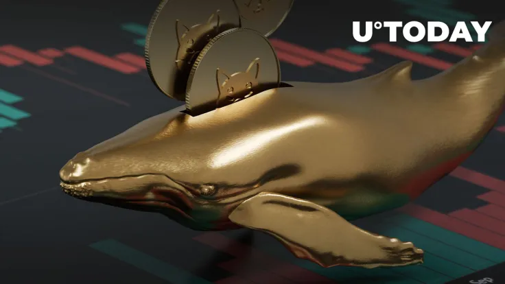 Whales Hoover up 14.6 Trillion SHIB Tokens — What Do They Know That We Don't?