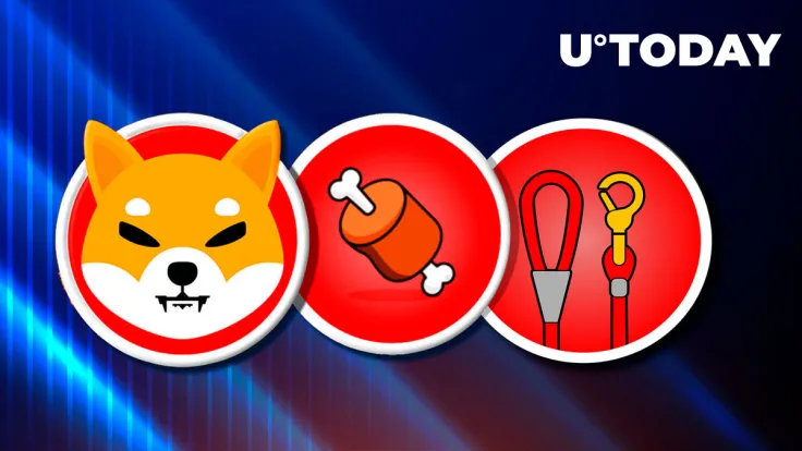 Shiba Inu Team Says Journey Just Starting; BONE, SHIB, LEASH to Benefit