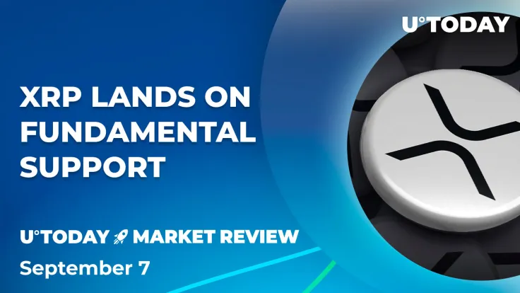 XRP's $0.5 Price Level Acts as Fundamental Support