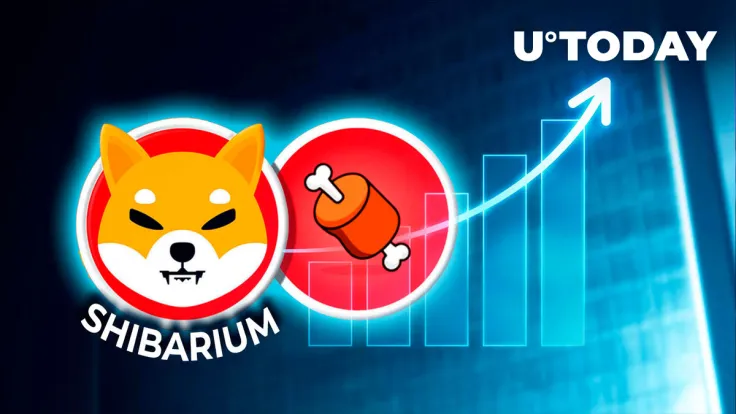Shiba Inu's BONE Gains 130% More Traders After Shibarium Launch