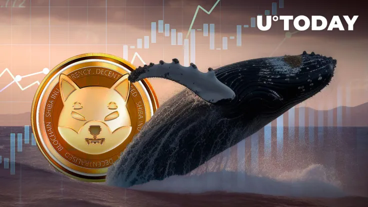 Shiba Inu (SHIB) up 500% in Whale Transactions: What's Happening?