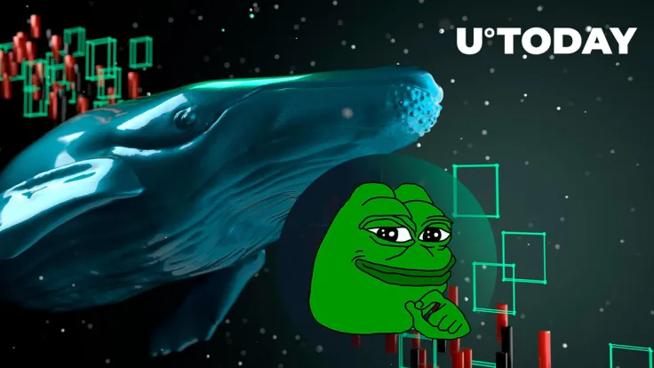 762 Billion PEPE Sold by This Whale at Loss as Price Staggers: Details