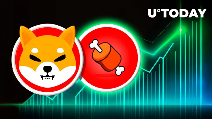 Shiba Inu: BONE Surprises With 50% Gain in Millionaire Addresses