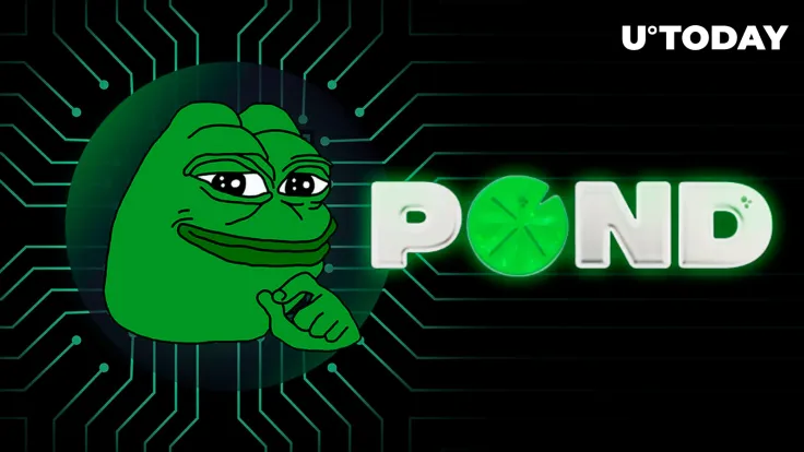 PEPE Exodus: 3 Wallets Buy $965K in PNDC