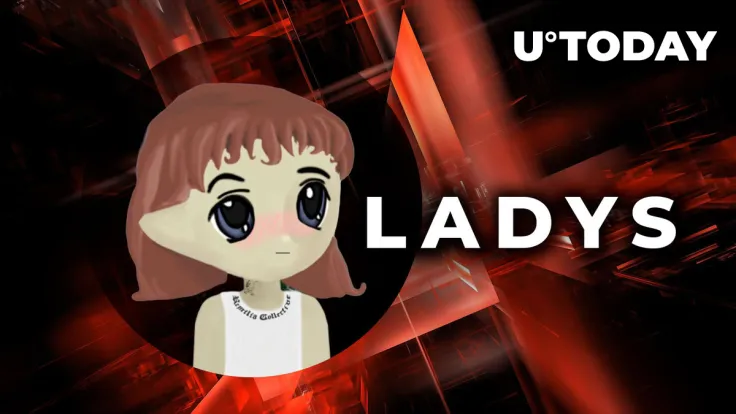 Milady Meme Coin (LADYS) Under Siege: What's Happening?