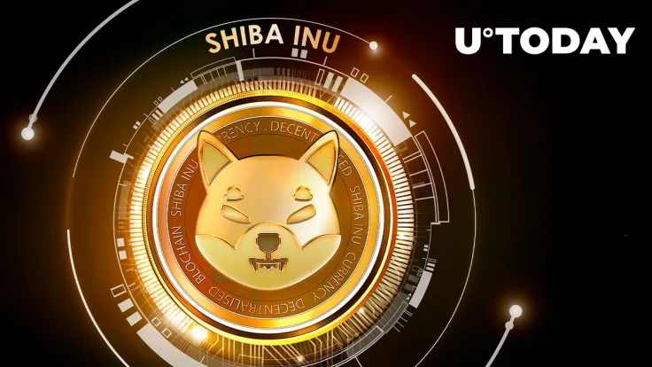 Shiba Inu (SHIB) May Hit Roadblock Soon, But Here's the Play