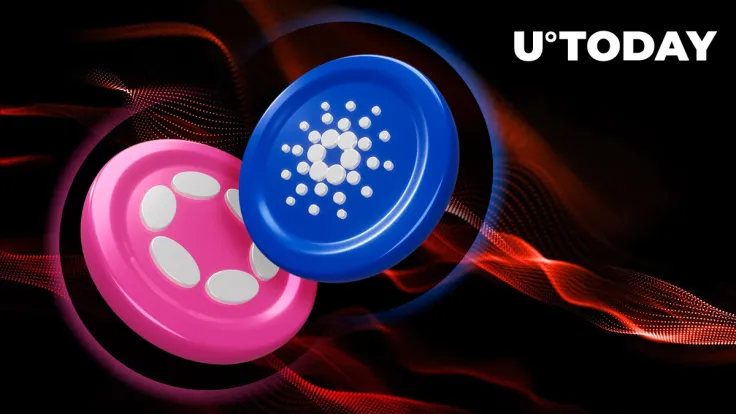 Cardano (ADA), Polkadot (DOT) Might Be High-Risk Altcoin Play Now: Analyst