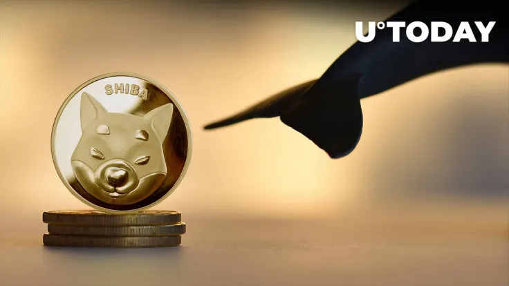 Shiba Inu (SHIB) Whales Went to Sleep: Here's Why It Might Be Positive Thing