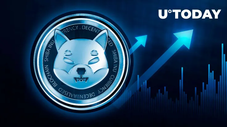 Shiba Inu (SHIB) Key On-Chain Metric Rockets 210% in Stunning Overnight Surge