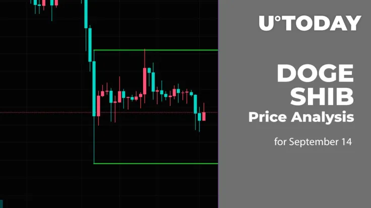 DOGE and SHIB Price Analysis for September 14