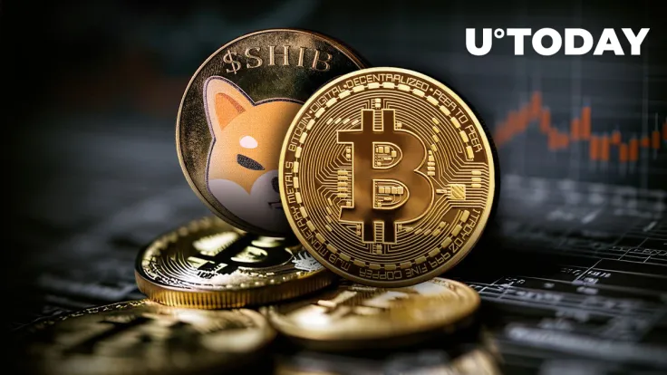 Shiba Inu Bitcoin Correlation Drops to Lowest in Weeks, What Happened?