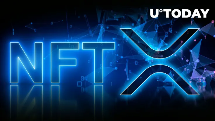 XRP Leads With Highest Gains in Daily NFT Volumes: Details